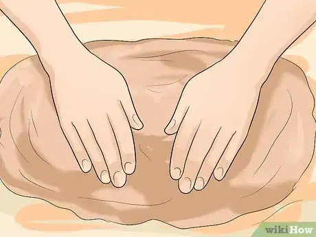 Image titled Plant Allium Bulbs Step 6