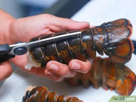 Image titled Make Lobster Bisque Step 1