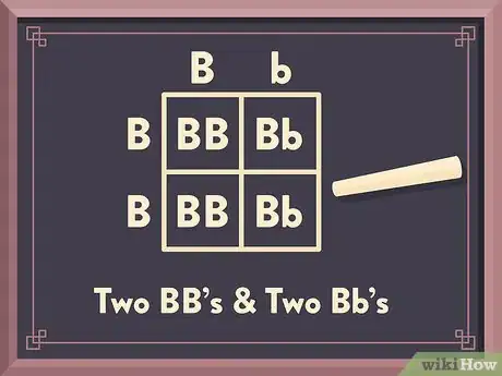 Image titled Use a Punnett Square to Do a Monohybrid Cross Step 6