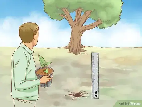 Image titled Plant Jackfruit Step 9