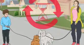 Deal with Aggressive Dogs when They Fight