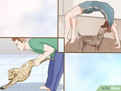 Image titled Do Yoga with Your Dog Step 14