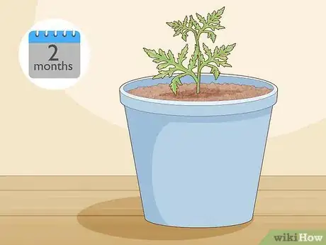 Image titled Take Root Cuttings Step 12