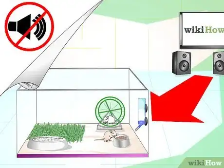 Image titled Set up a Gerbilarium Step 10