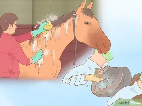 Image titled Win a Horse Event Step 10