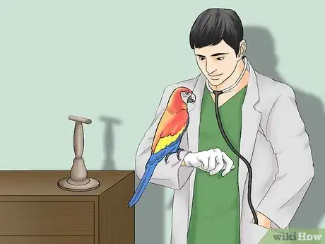 Image titled Calculate the Cost to Adopt a Parrot Step 12