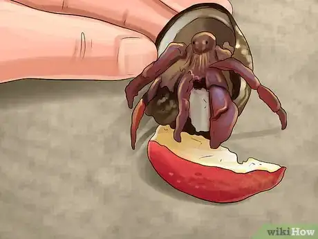 Image titled Make Fiddler Crab Food Step 6