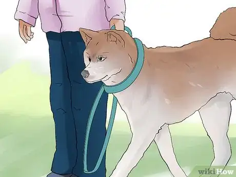 Image titled Keep Your Dog Comfortable Outdoors Step 12