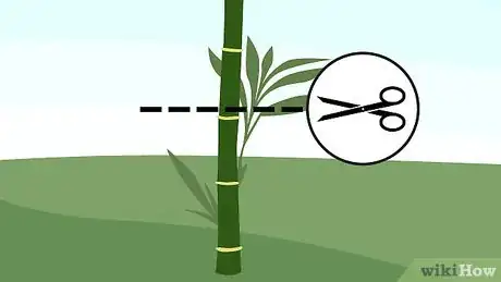 Image titled Prune Bamboo Step 5