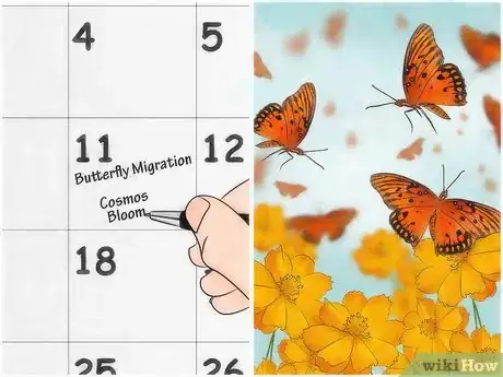 Image titled Attract Butterflies Step 14