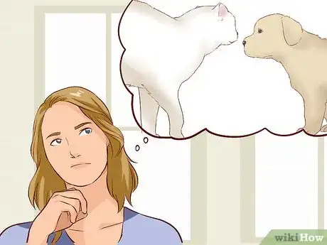 Image titled Introduce Dogs to Cats Step 1