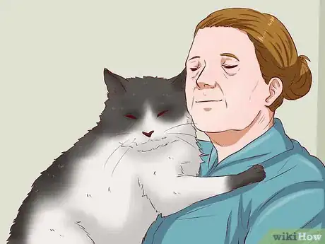 Image titled Get a Cat for a Pet Step 2