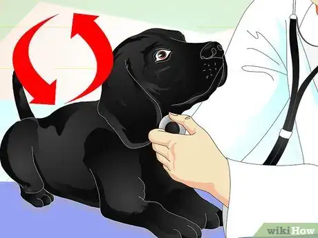 Image titled Diagnose Ascarids in Dogs Step 6