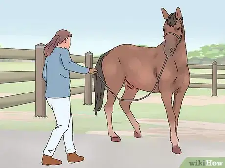 Image titled Succeed at Your First Horse Show Step 12