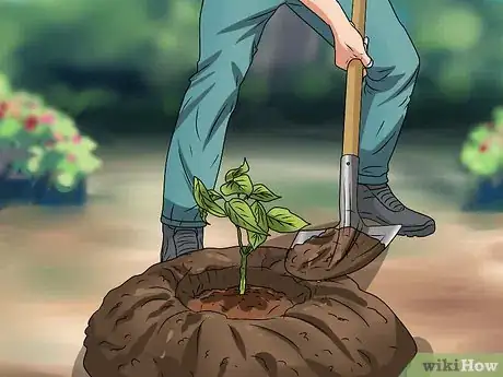 Image titled Plant Step 28