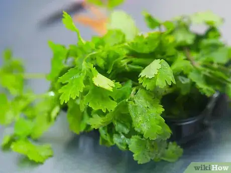 Image titled Freeze Herbs Step 5