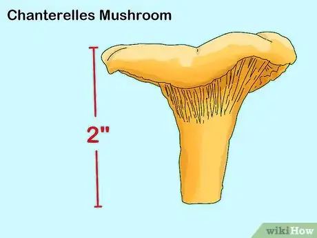 Image titled Identify Mushrooms Step 2