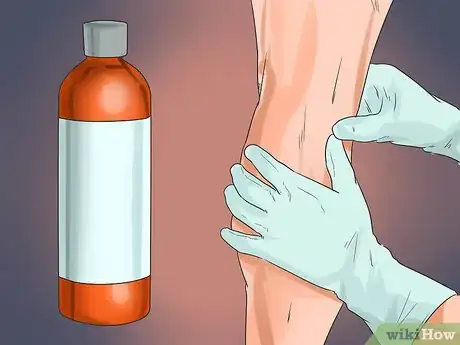 Image titled Massage a Horse Step 6