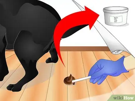Image titled Diagnose Ascarids in Dogs Step 3