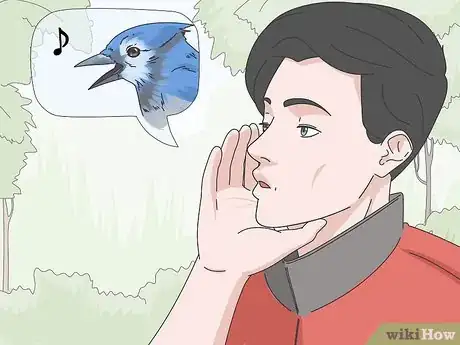 Image titled Identify Bird Calls Step 1