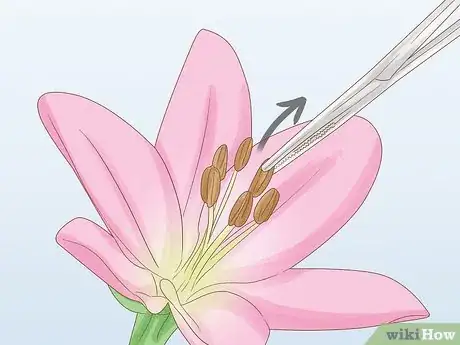 Image titled Store Pollen Step 1