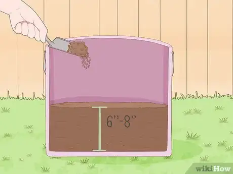 Image titled Plant Rice Indoors Step 6