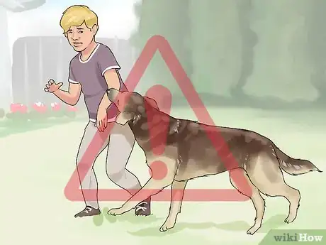 Image titled Introduce Your New Dog to the Neighbors Step 11