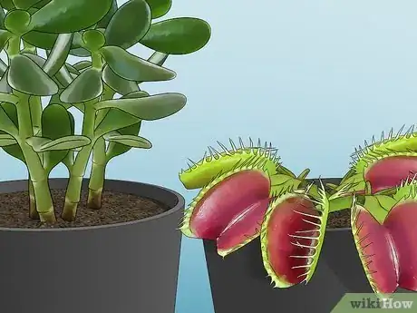 Image titled Feed Carnivorous Plants Step 3