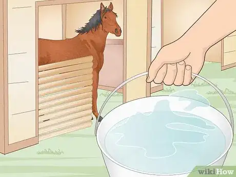 Image titled Look After a Horse Step 5