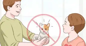 Help Kids Cope with the Death of Their Cat