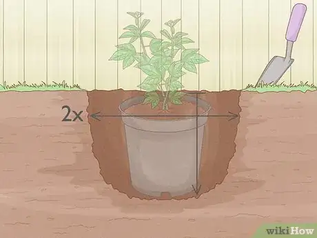 Image titled Transplant Potted Flowers Outdoors Step 2