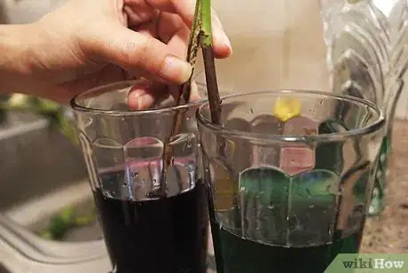 Image titled Tint Flowers Step 6