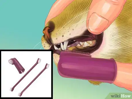 Image titled Diagnose and Treat Periodontitis in Cats Step 8