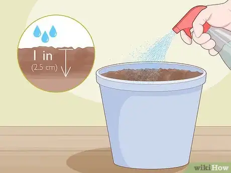 Image titled Take Root Cuttings Step 10