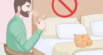 Treat a Cat With Asthma