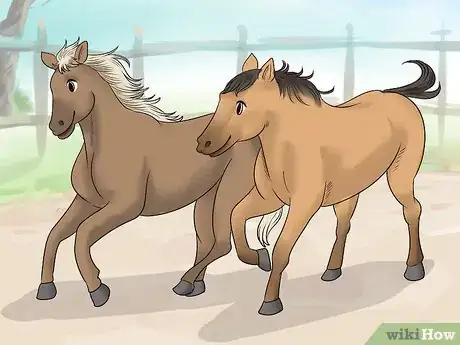 Image titled Care for a Gaited Horse Step 10