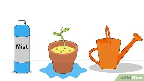 Image titled Grow Nutmeg Step 12