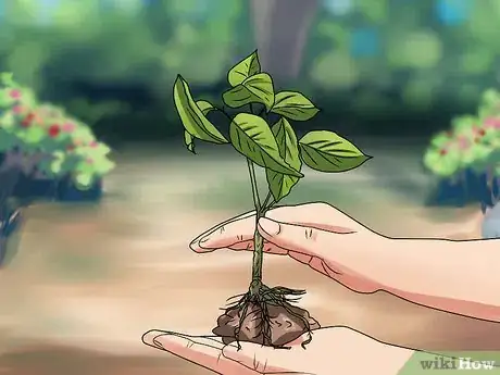 Image titled Plant Step 23