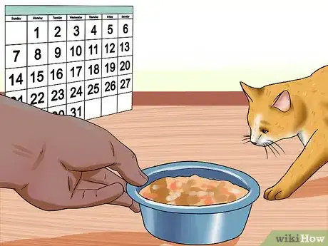 Image titled Prepare Your Cat for a New Baby Step 8