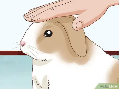 Image titled Befriend a Shy Rabbit Step 9