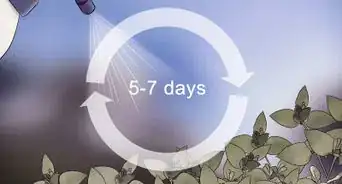 Buy Organic Insecticides