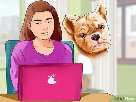 Image titled Get Your Dog Paid TV Appearances Step 9