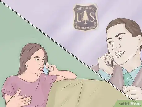 Image titled Create a Christmas Tree Forest Step 4