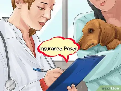 Image titled Find Veterinary Insurance for Older Dogs Step 8