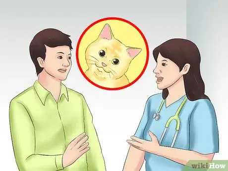 Image titled Help Pets Cope with the Back‐to‐School Transition Step 10