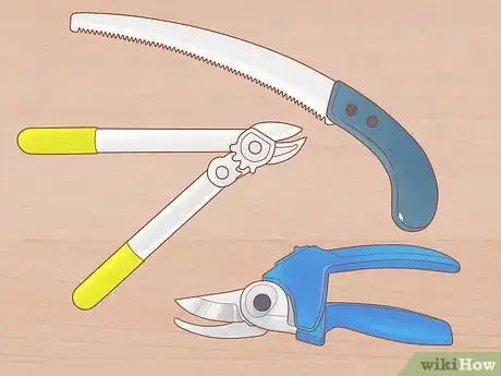 Image titled Prune a Fruit Tree Step 9