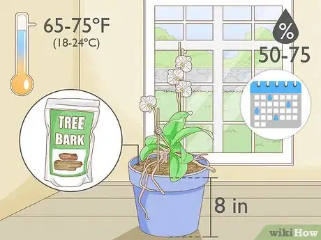 Image titled Grow Orchids for Profit Step 2