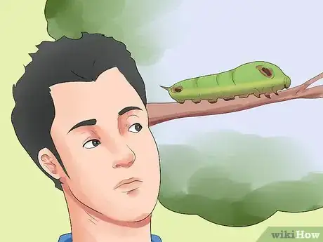 Image titled Care for a Weeping Cherry Tree Step 11