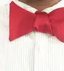 Tie a Bow Tie