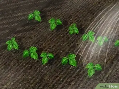 Image titled Create a Vegetable Garden Step 8